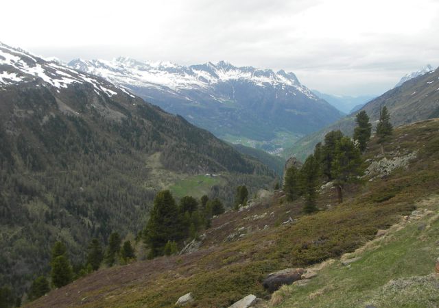 2006 Dolomiten