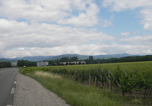 2008 06 Vogesen