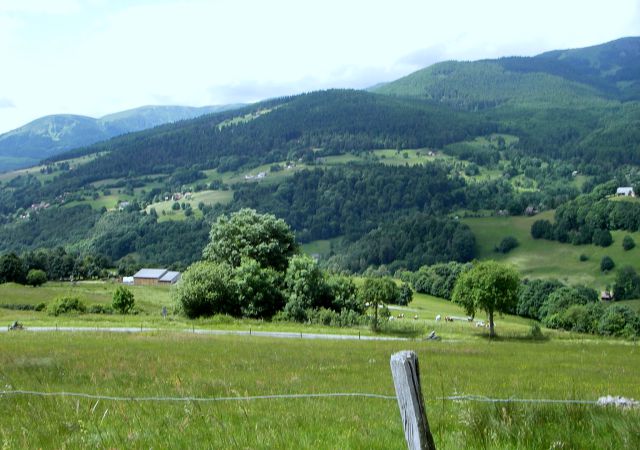 2008 06 Vogesen