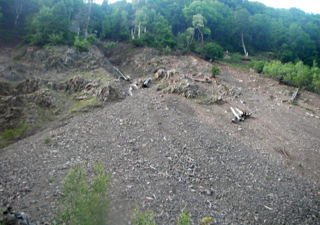 2008 06 Vogesen