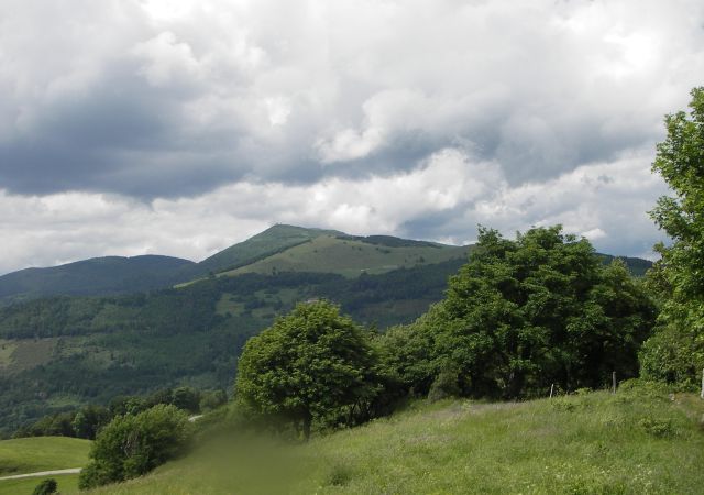 2008 06 Vogesen