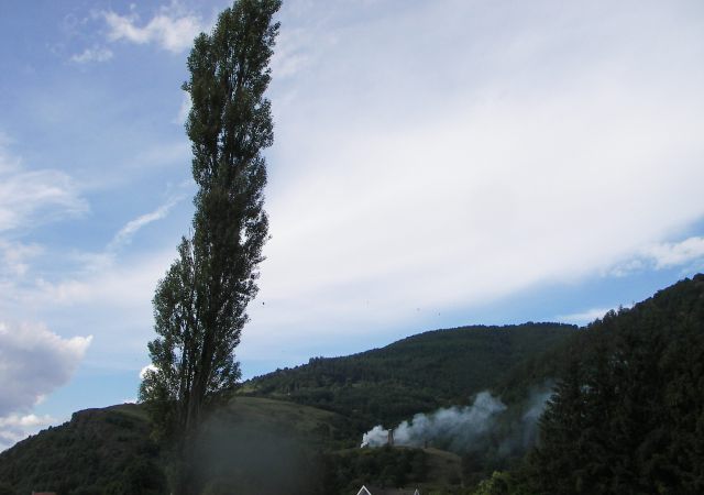 2008 06 Vogesen