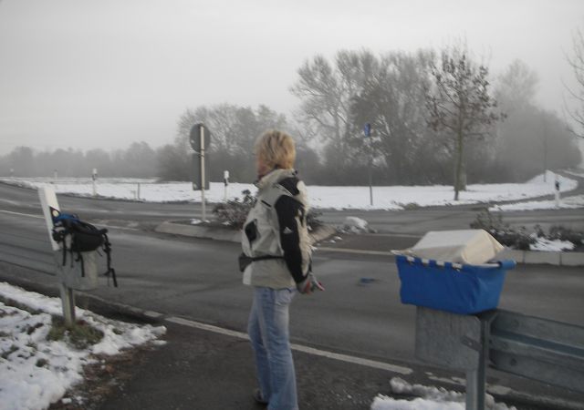 2008 11 Hanau