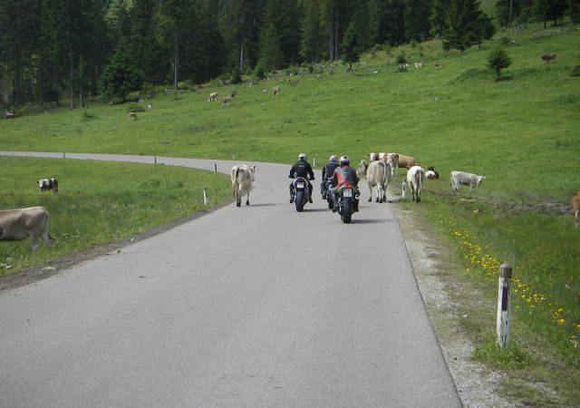 200907 Allgaeu