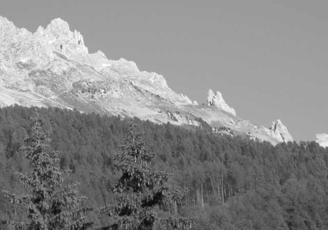 2010 Dolomiten