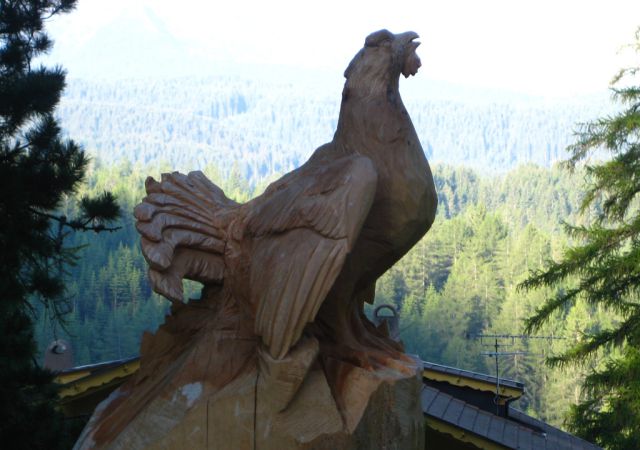 2010 Dolomiten