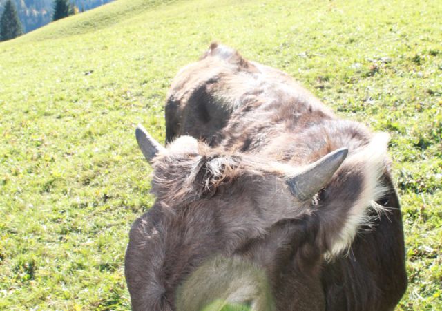201110 Kleinwalsertal