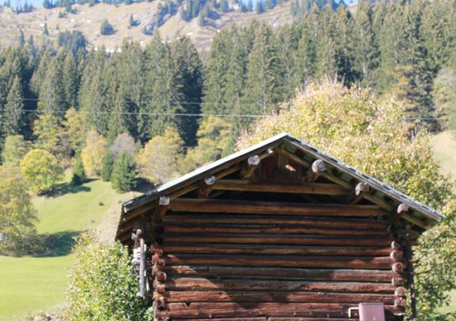 201110 Kleinwalsertal