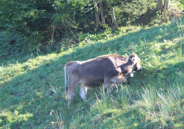 201110 Kleinwalsertal