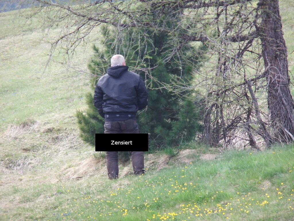 2011_05_dolomiten_jehle_1362zensus.jpg