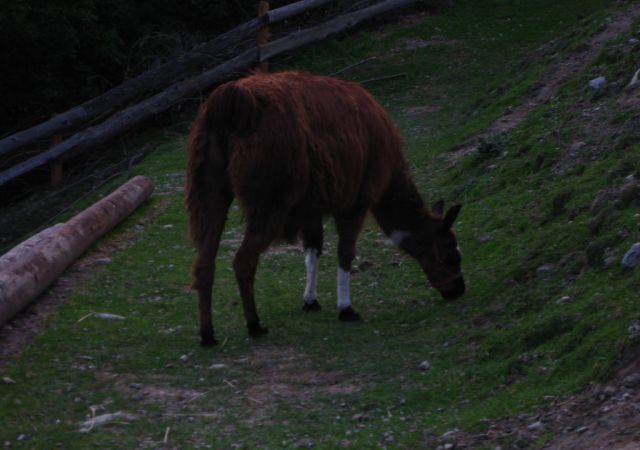 201205 Dolomiten