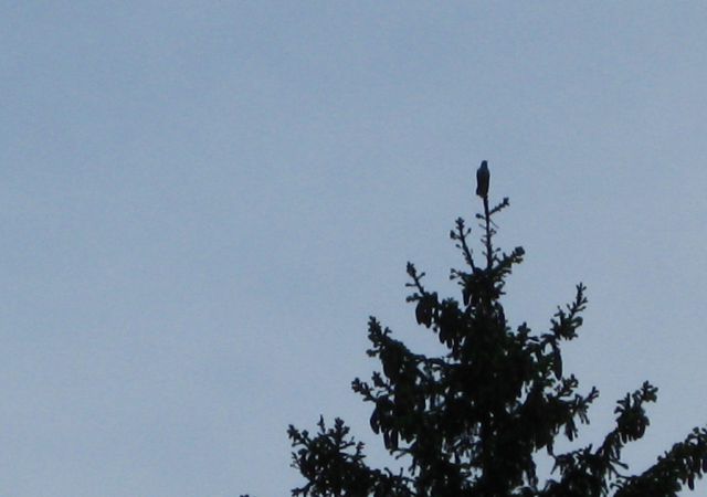 201205 Dolomiten