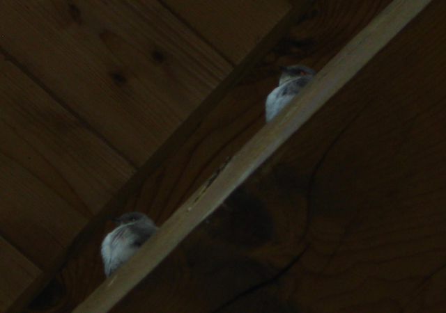 201205 Dolomiten