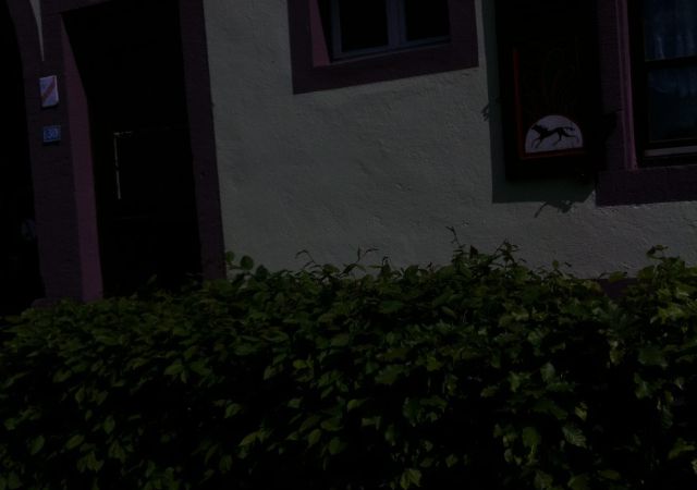 201205 Streifes Vogesentagestour