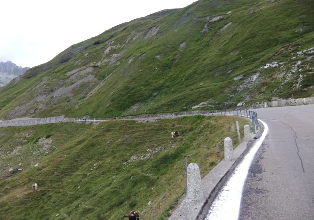201208 Seppis BMW Tour