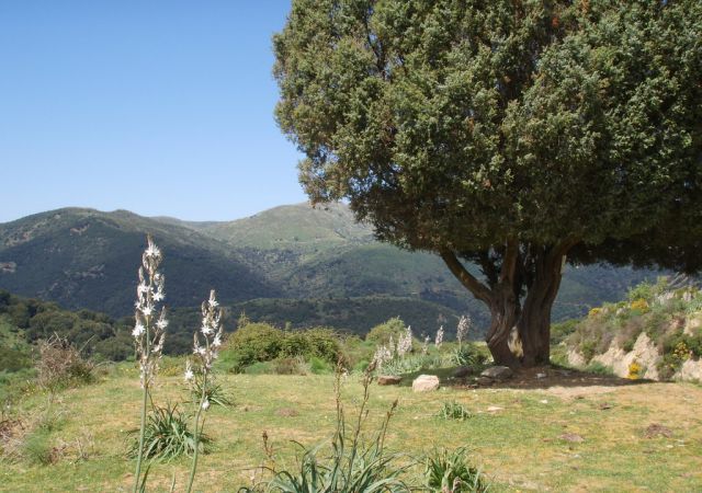 201305 Sardinien