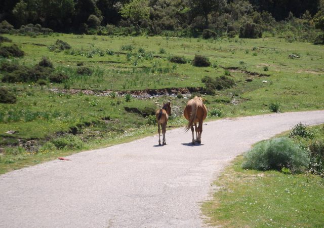 201305 Sardinien