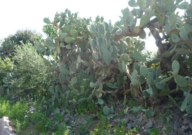201305 Sardinien