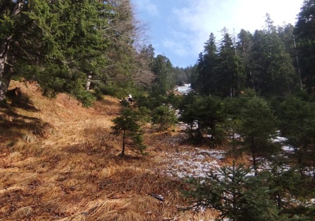 201401 Plansee