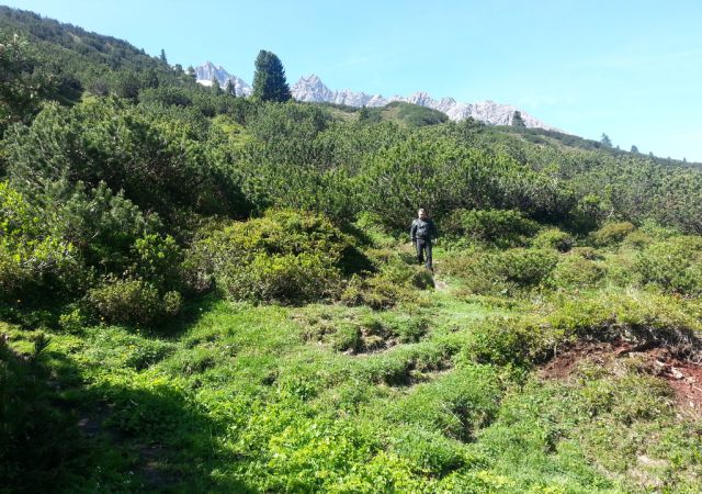 201406 Allgaeu