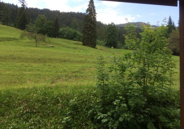 201406 Allgaeu