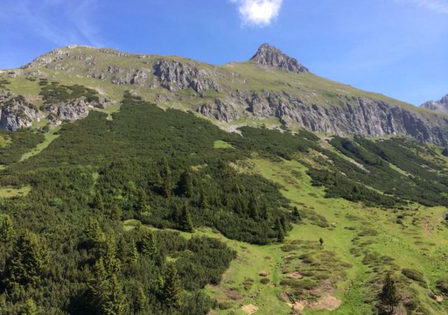 201406 Allgaeu