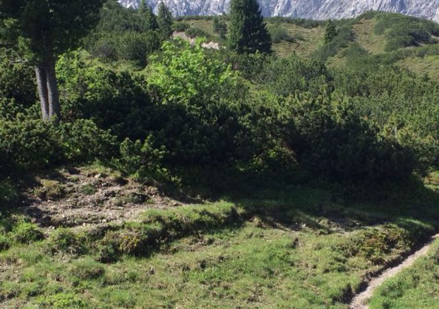 201406 Allgaeu