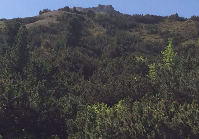 201406 Allgaeu