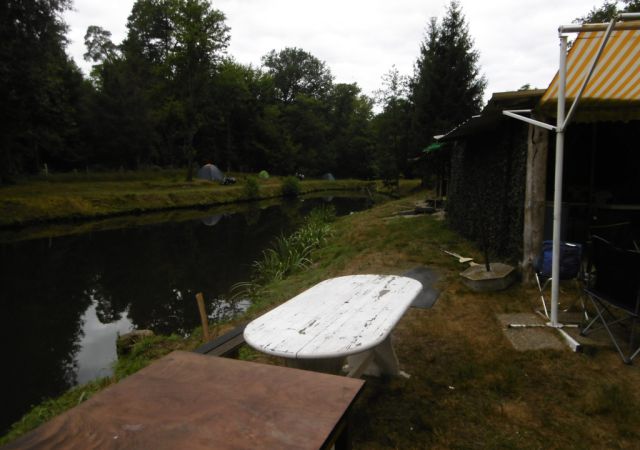 20107 Hagenau