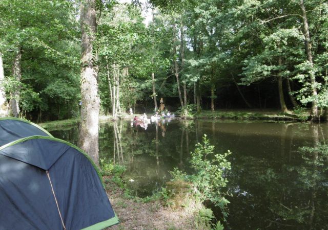 20107 Hagenau