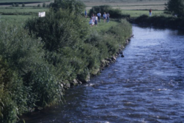 1988 Tauziehen
