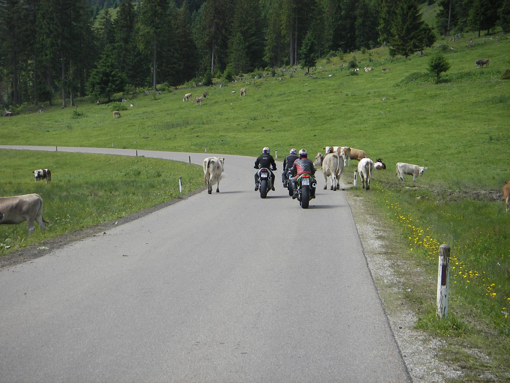 2009_07_allgaeu_045.jpg